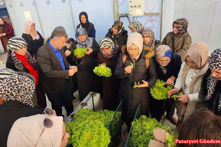 Kocaeli’nde topraksız tarıma kadın çiftçilerden yoğun ilgi