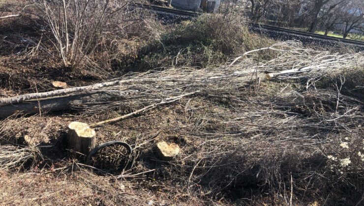 Karaköy’de kestiği ağaç üzerine devrilen kişi hayatını kaybetti