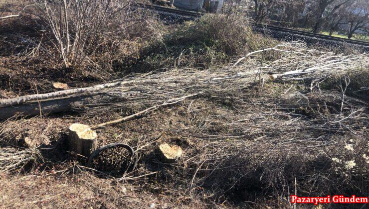 Karaköy’de kestiği ağaç üzerine devrilen kişi hayatını kaybetti