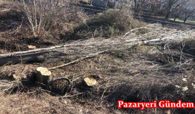 Pazaryeri’nde kestiği ağaç üzerine devrilen kişi hayatını kaybetti