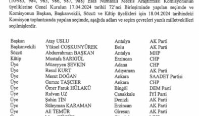 Erzincan için ‘Araştırma Komisyonu’ kararı Resmi Gazete’de