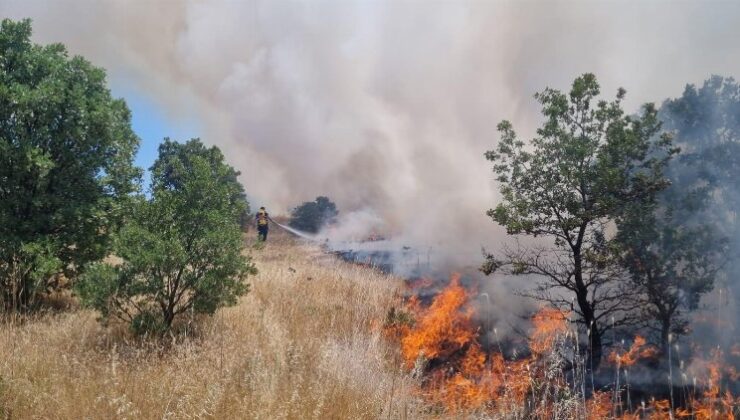 Manisa’da ormanlık alanı tehdit eden yangın