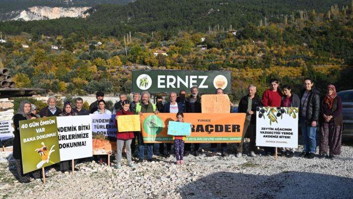 WhatsApp Image 2025-11-22 at 15.25.17