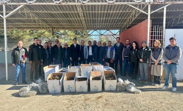 Pazaryeri’nde  Çilek Üretimi İçin Büyük Adım: 42 Bin Fide Çiftçilere Dağıtıldı