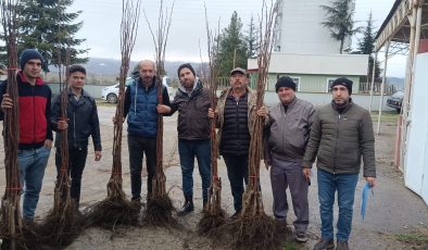 Pazaryeri’nde Meyveciliğe Güçlü Destek: 450 Meyve Fidanı Çiftçilerle Buluştu