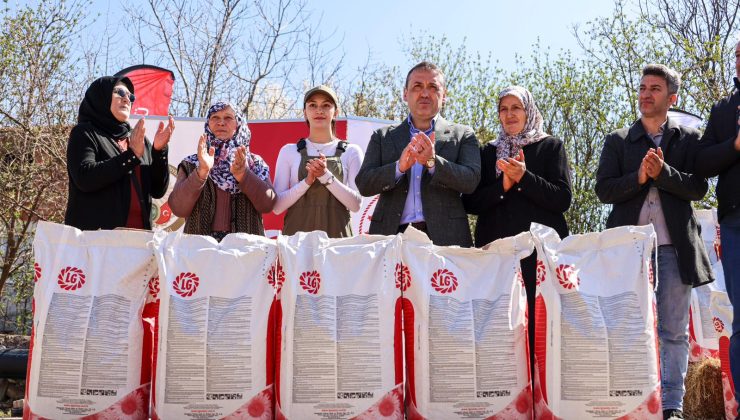 Kurtköy’de Ayçiçeği Bereketi: 30 Bin Dekarlık Hedef İçin İlk Adım Atıldı