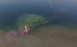 Kocaeli’nin çevre projesi deniz canlılarını canlandırdı