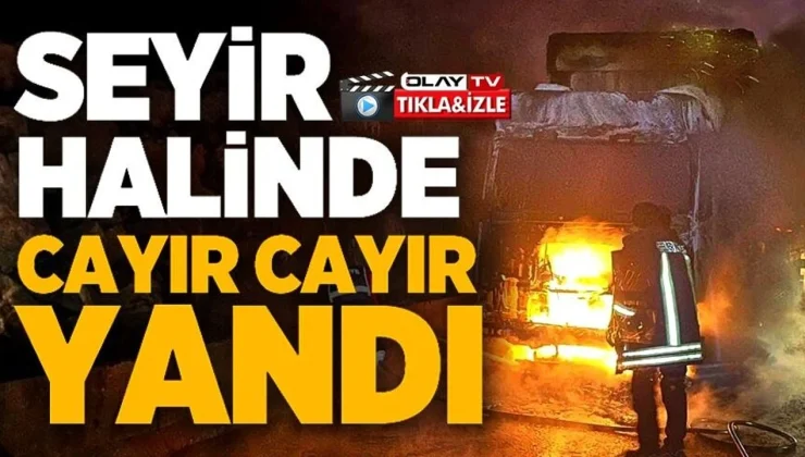 BİLECİK’TE SEYİR HALİNDEKİ TIR BİR ANDA ALEV ALDI