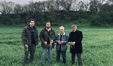 Keşan’da yağışlar verimi artırdı, hastalık riskini büyüttü