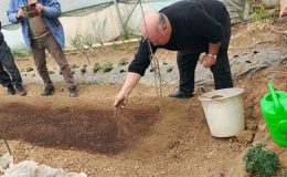 Pazaryeri’nde Yeni Dönem: Tütün İlçenin Geçim Kapısı Oluyor