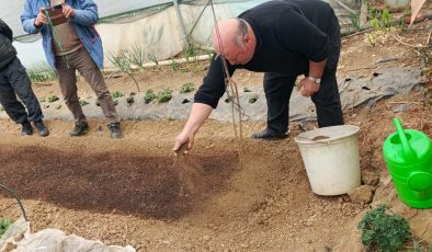 Pazaryeri’nde Yeni Dönem: Tütün İlçenin Geçim Kapısı Oluyor