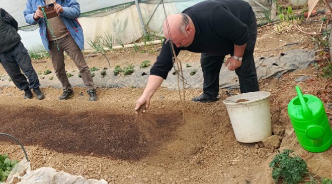 Pazaryeri’nde Yeni Dönem: Tütün İlçenin Geçim Kapısı Oluyor