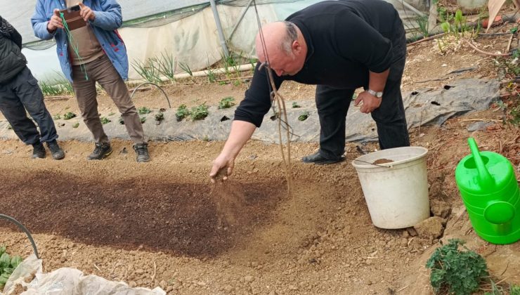 Pazaryeri'nde Yeni Dönem: Tütün İlçenin Geçim Kapısı Oluyor