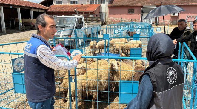 Kurban Bayramı Öncesi Pazaryeri’nde Sıkı Denetim