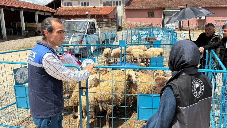 Kurban Bayramı Öncesi Pazaryeri’nde Sıkı Denetim