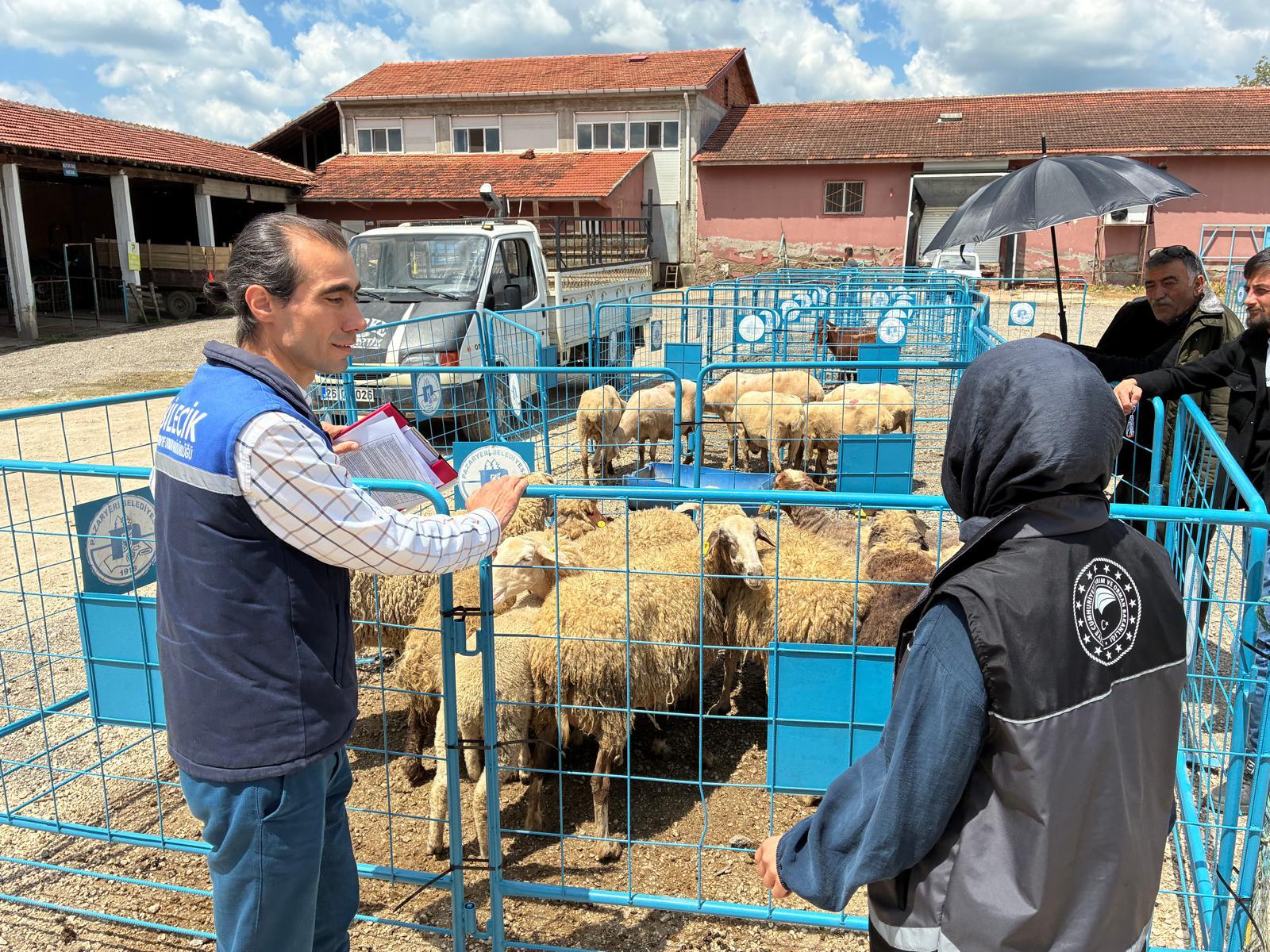 Kurban Bayramı Öncesi Pazaryeri’nde Sıkı Denetim