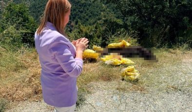 BAŞKAN TEKİN’DEN YOL KENARINA BIRAKILAN HAYVAN LEŞİNE SERT TEPKİ