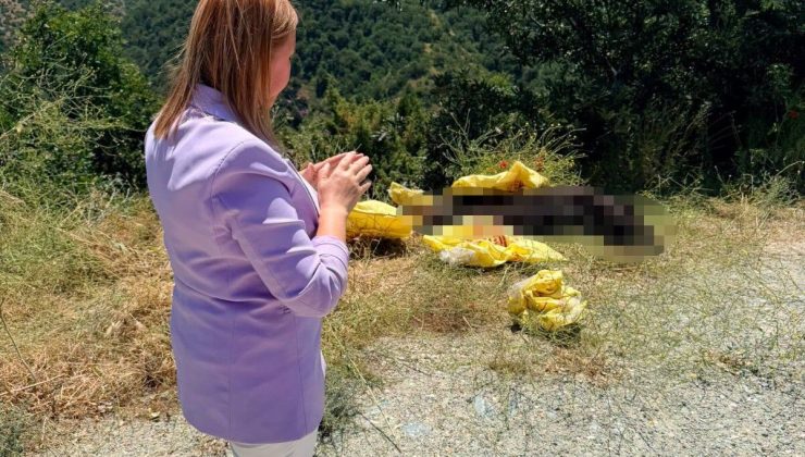 BAŞKAN TEKİN’DEN YOL KENARINA BIRAKILAN HAYVAN LEŞİNE SERT TEPKİ