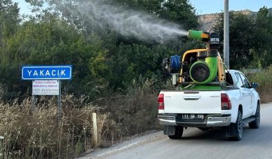 HAŞERELERE KARŞI İLAÇLAMA ÇALIŞMASI YAPILDI