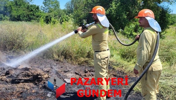 Pazaryeri’nde Tarla Temizliği İçin Yakılan Ateş Yangına Neden Oldu