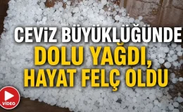 Pazaryeri’nde ceviz büyüklüğünde dolu yağışı etkili oldu