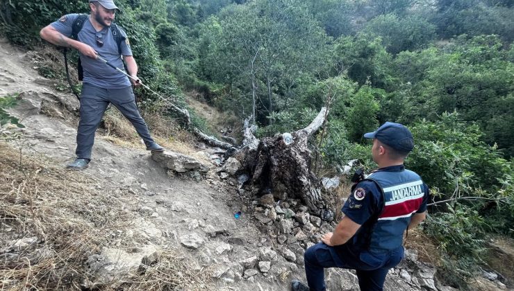 AĞAÇ YANGINI KORKUTTU