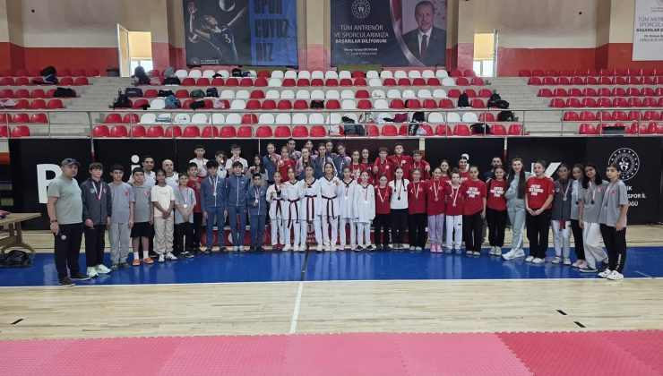 ANALİG TAEKWONDO İL SEÇMELERİ TAMAMLANDI
