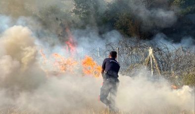 BİÇME MAKİNESİNDEN ÇIKAN KIVILCIM ORMANI YAKTI, ARACIN OPERATÖRÜ GÖZALTINA ALINDI