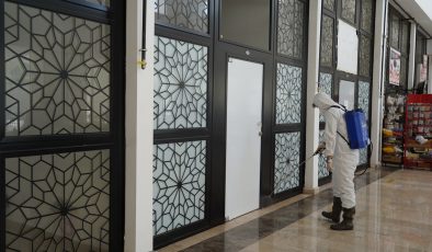 BİLECİK BELEDİYESİ’NDEN ÇEKİRGELERE KARŞI ERKEN ÖNLEM