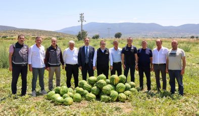 BİLECİK’TE 62 BİN TONLUK KARPUZ HASADI BEKLENİYOR