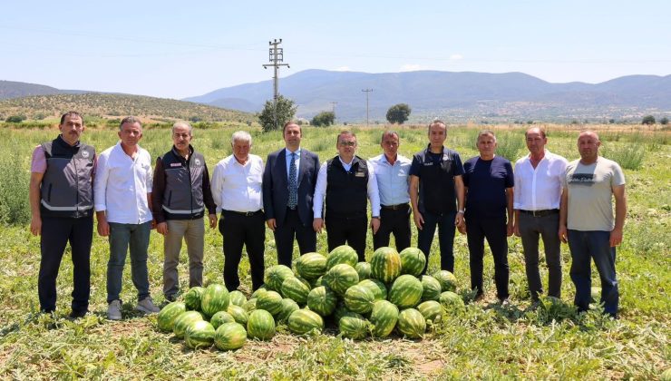 BİLECİK’TE 62 BİN TONLUK KARPUZ HASADI BEKLENİYOR