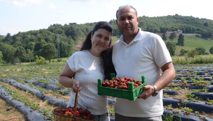 HOBİ OLARAK 2 DÖNÜMDE BAŞLADI, ÜRETİMİ ŞİMDİ 42 DÖNÜME ÇIKTI