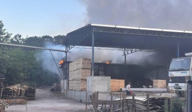 KERESTE İŞLETMESİNDE KORKUTAN YANGIN