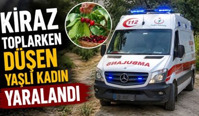 KİRAZ TOPLARKEN DÜŞEN YAŞLI KADIN YARALANDI