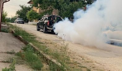 KÖYÜNDEKİ SİNEK SORUNUNA BİZZAT KENDİSİ EL ATTI