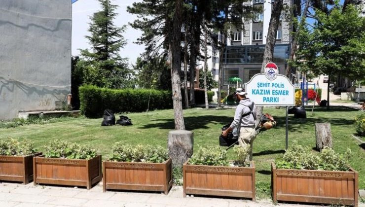 SÖĞÜT’TE ÇİM BİÇME VE İLAÇLAMA ÇALIŞMALARI ARALIKSIZ DEVAM EDİYOR