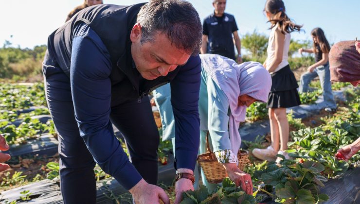 VALİ SÖZER, HUZUREVİ SAKİNLERİYLE ÇİLEK HASADI YAPTI