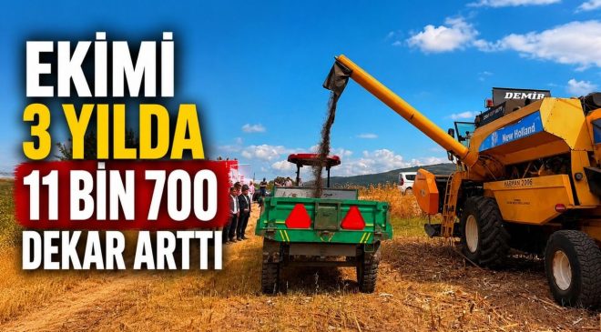 AYÇİÇEĞİ EKİMİ 3 YILDA 11 BİN 700 DEKAR ARTTI
