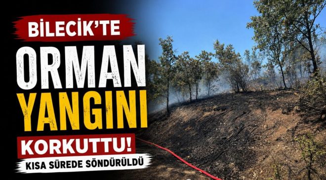 BİLECİK’TE ORMAN YANGINI KORKUTTU