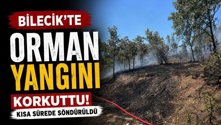 BİLECİK’TE ORMAN YANGINI KORKUTTU
