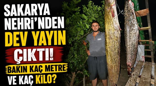 SAKARYA NEHRİ’NDEN 34 KİLOLUK DEV YAYIN ÇIKTI