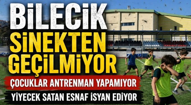İSTASYON SENTETİK SAHA MEVKİİ SİNEKTEN GEÇİLMİYOR