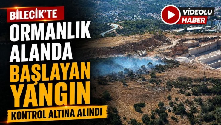 ORMANLIK ALANDA BAŞLAYAN YANGIN KONTROL ALTINA ALINDI