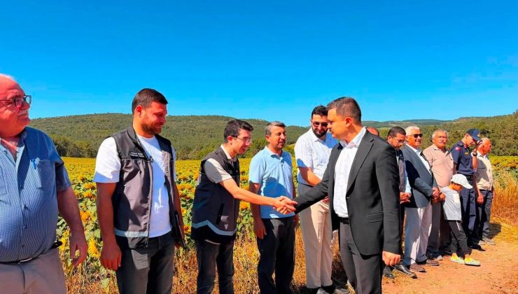 KAYMAKAM TİTİZ HASAT SEVİNCİNE ORTAK OLDU