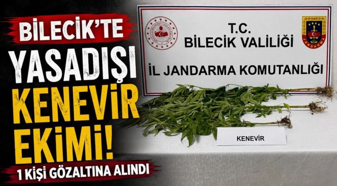 YASADIŞI KENEVİR EKİMİ ORTAYA ÇIKARILDI