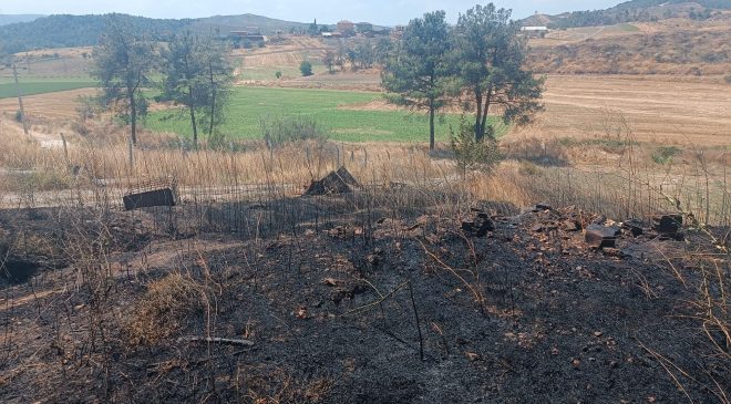 ZİRAAT ALANINDA ÇIKAN YANGIN BÜYÜMEDEN SÖNDÜRÜLDÜ