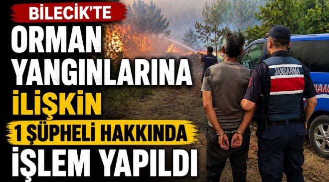 BİLECİK’TE ORMAN YANGINLARINA İLİŞKİN 1 ŞÜPHELİ HAKKINDA İŞLEM YAPILDI