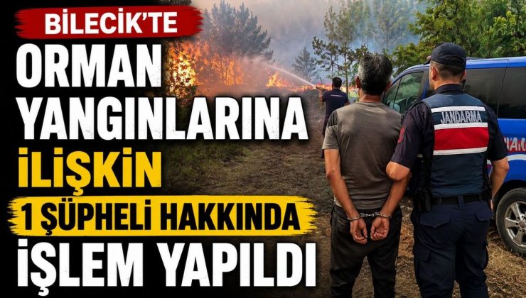 BİLECİK’TE ORMAN YANGINLARINA İLİŞKİN 1 ŞÜPHELİ HAKKINDA İŞLEM YAPILDI
