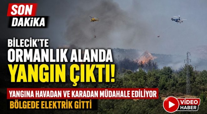 BİLECİK’TE ORMANLIK ALANDA YANGIN BAŞLADI