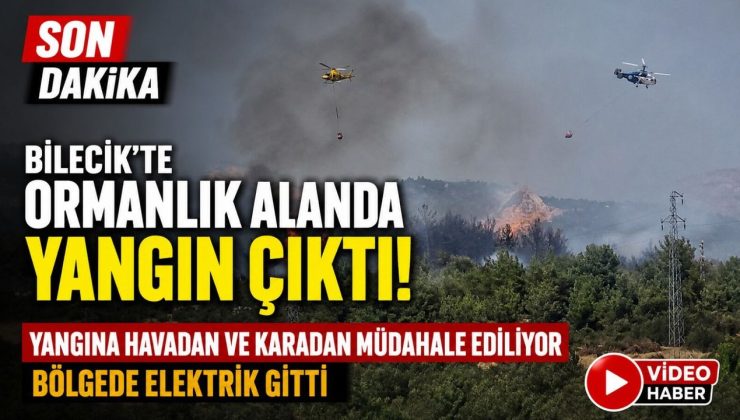 BİLECİK’TE ORMANLIK ALANDA YANGIN BAŞLADI
